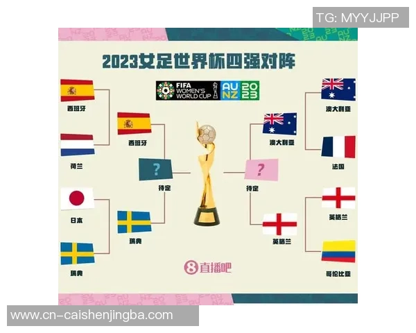 历届足球世界杯冠军回顾与分析探索历史辉煌与未来展望